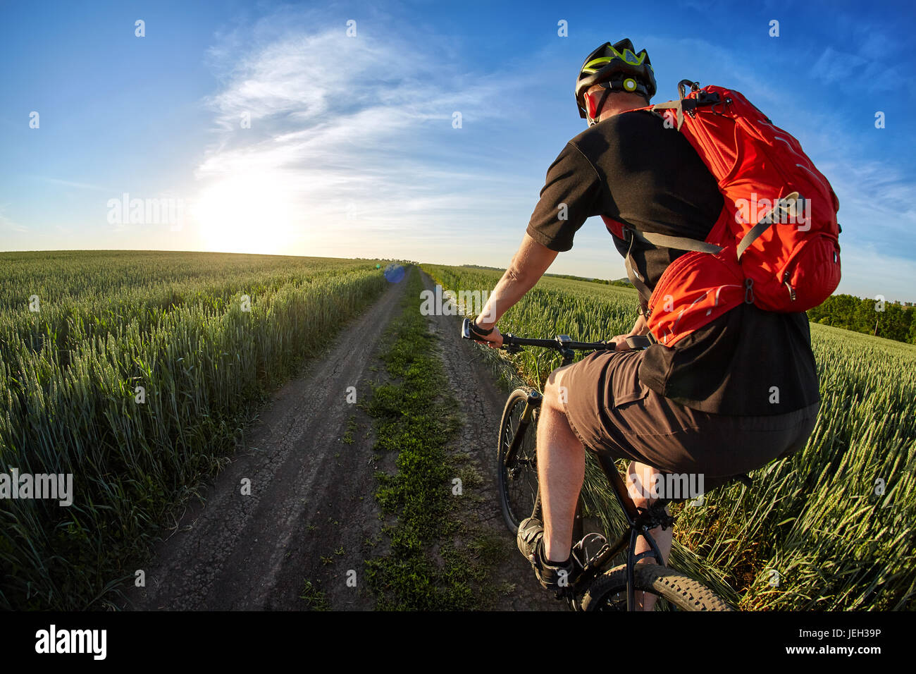 Rear view and close-up of the cyclist riding mountain bike on the ...