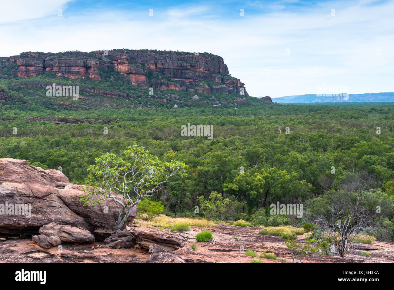 Views from the Nadab lookout, at the sacred Aboriginal site of Ubirr. Kakadu National Park, Northern Territory, Australia Stock Photo