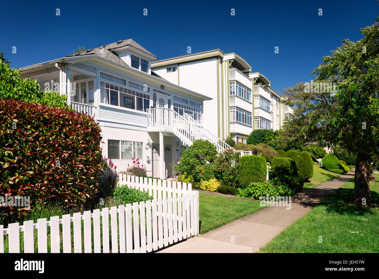 Beautiful triplex house and an apartment building on a green street in Victoria, BC on a sunny summer day. Victoria, Vancouver Island British Columbia Stock Photo