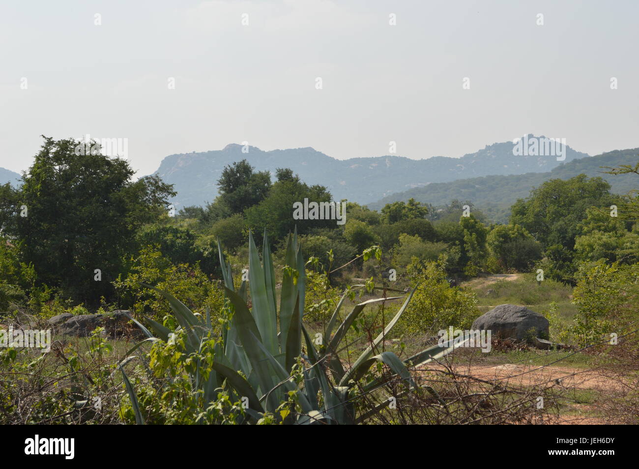 Tamil nadu mountains hi-res stock photography and images - Alamy