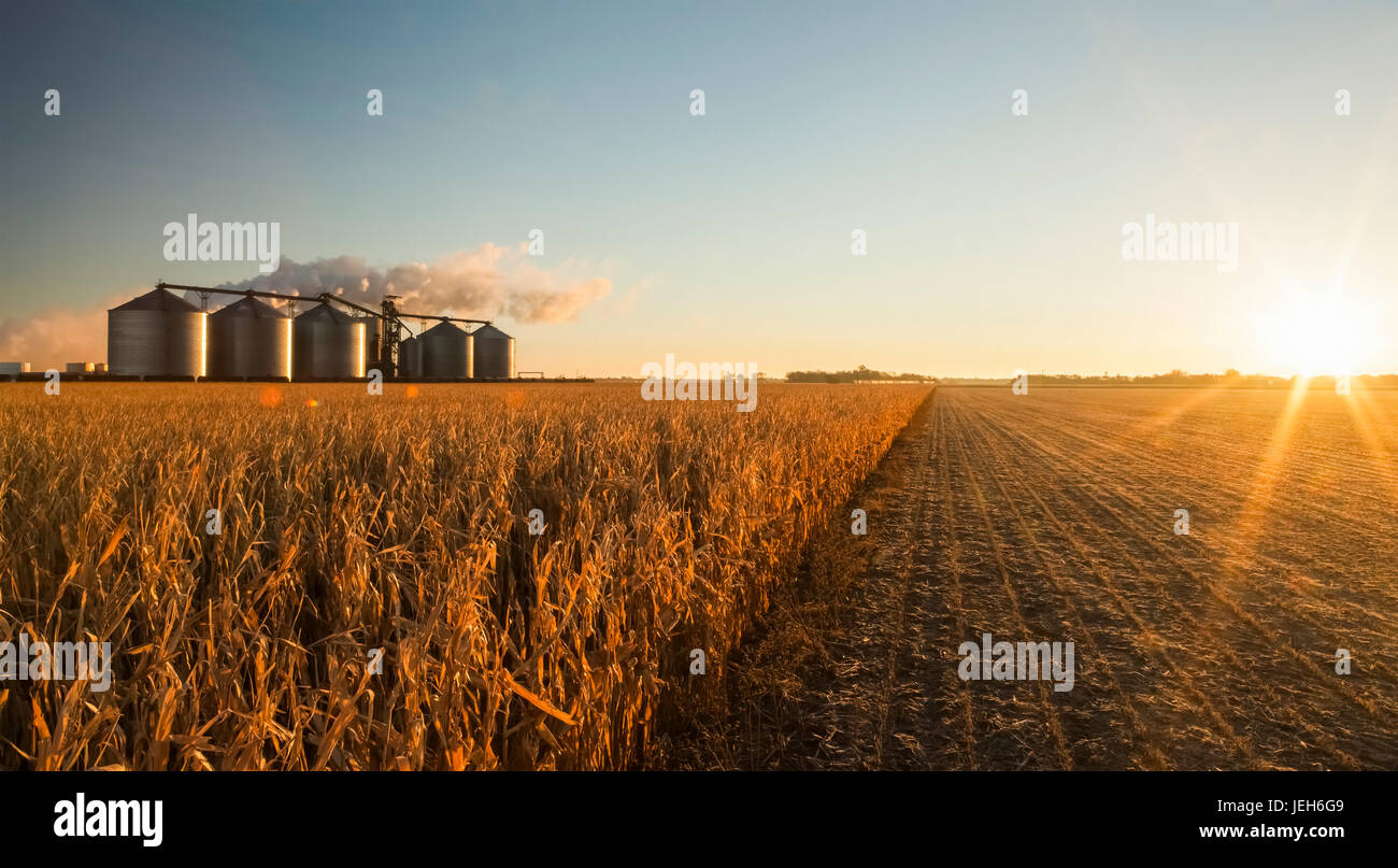The Poet Biorefinery, an ethanol producer, and corn field, near Groton