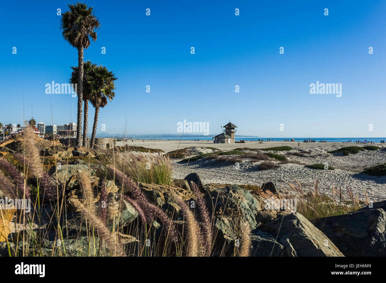 Palm trees and rocks along the beach with a view of the ocean; California, United States of America Stock Photo