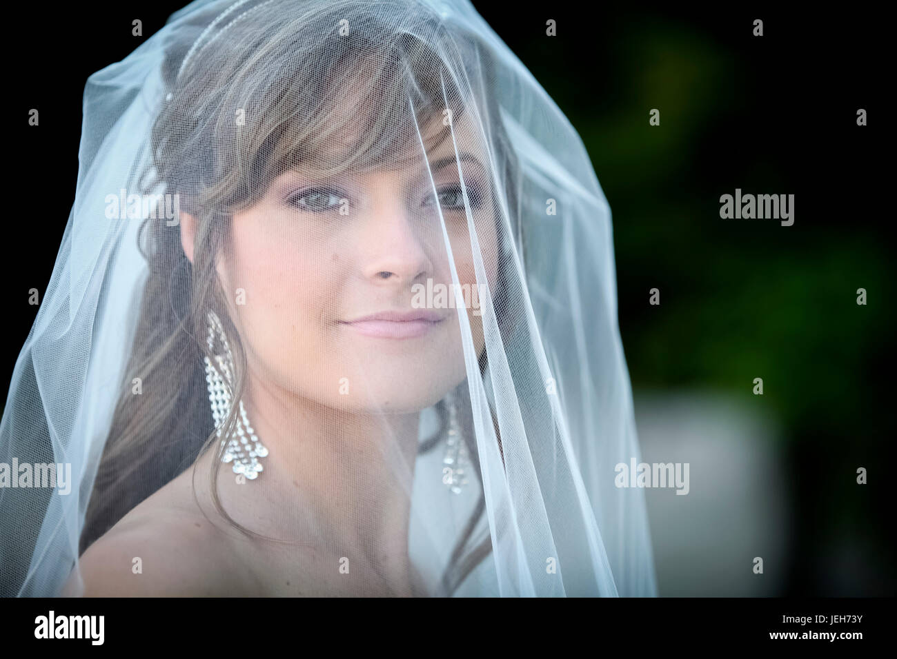 Portrait of a bride wearing a veil; Ontario, Canada Stock Photo - Alamy