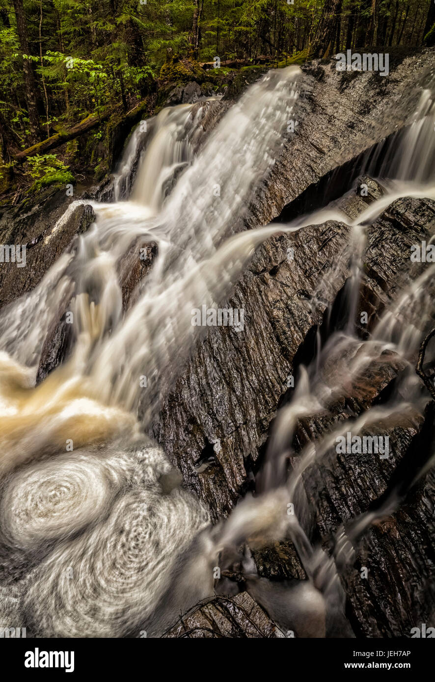 A spring waterfall in the forest; Middle Sackville, Nova Scotia, Canada Stock Photo