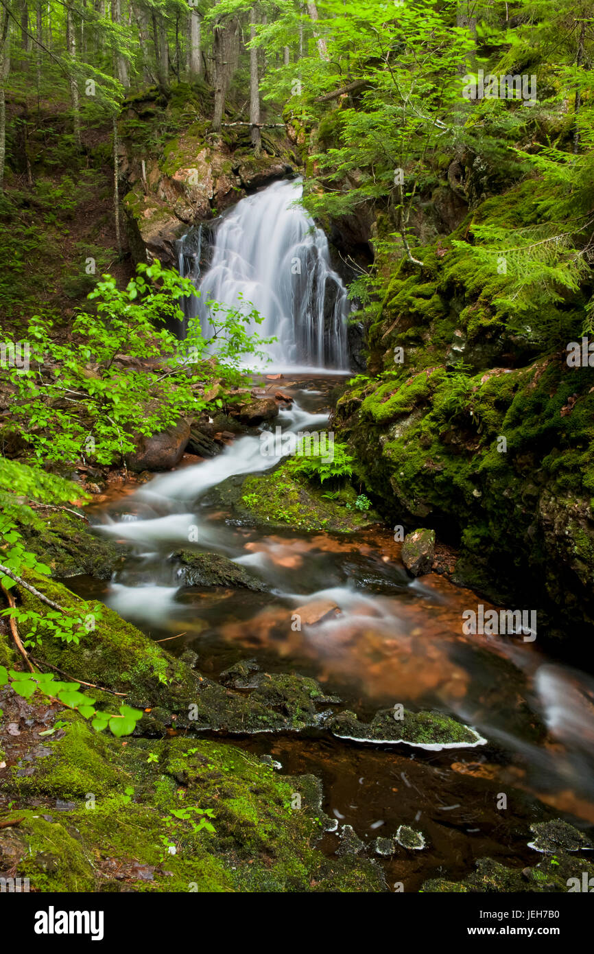 Waterfall on Horse Pasture Brook, a protected wilderness area ...