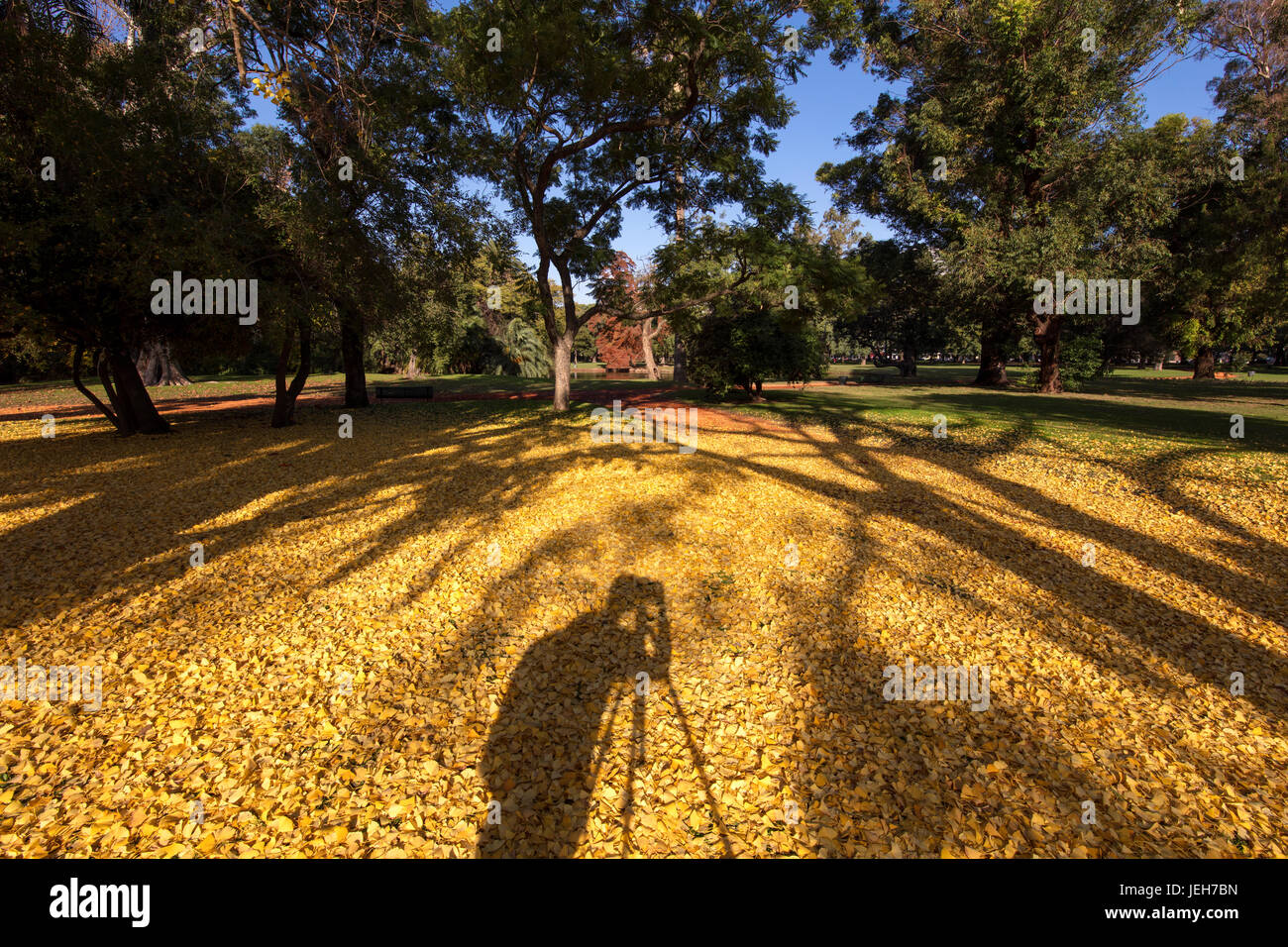 Palermo woods hi-res stock photography and images - Alamy