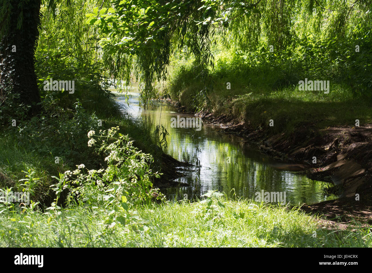 View of river in summer. Cove Brook landscape near Farnborough, Hampshire, UK Stock Photo
