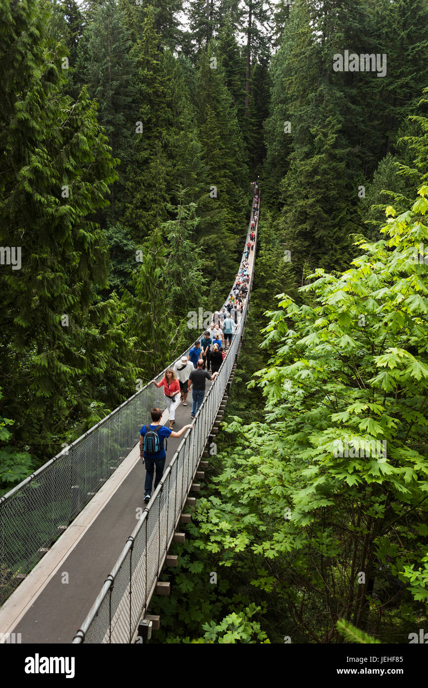 Tourists walking across the suspension bridge, Capilano Suspension Bridge Park; Vancouver, British Columbia, Canada Stock Photo