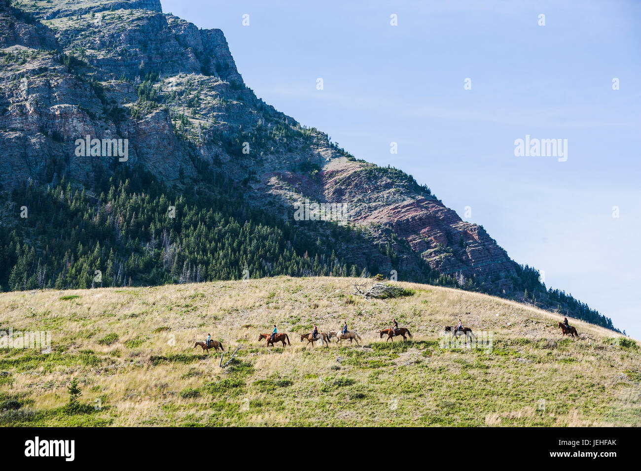 Tourists horseback riding in Waterton Lakes National Park; Alberta, Canada Stock Photo