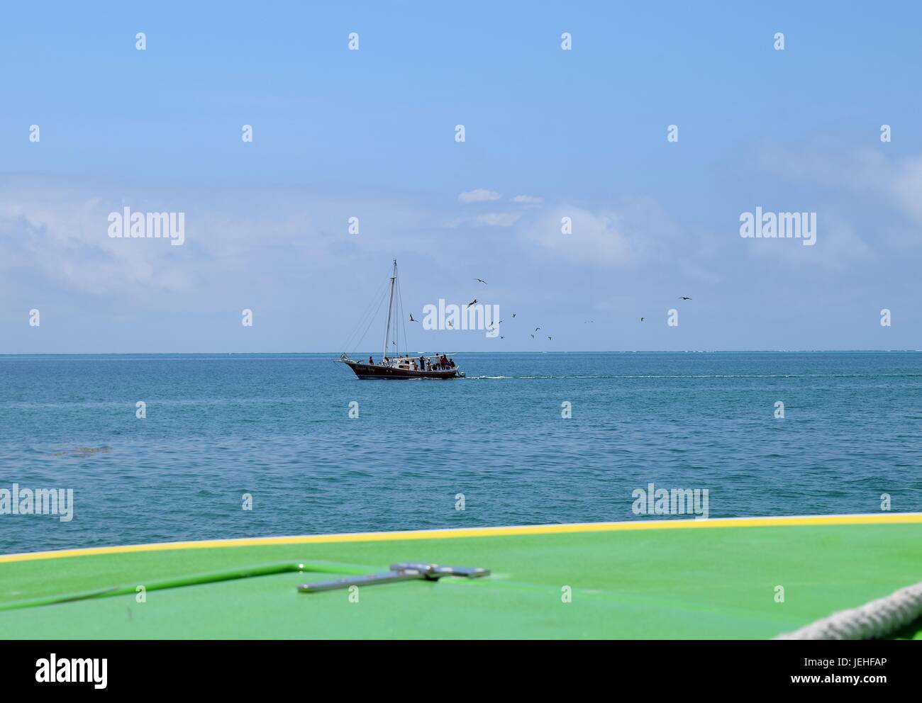 Fishing boat follow by marine birds Stock Photo Alamy