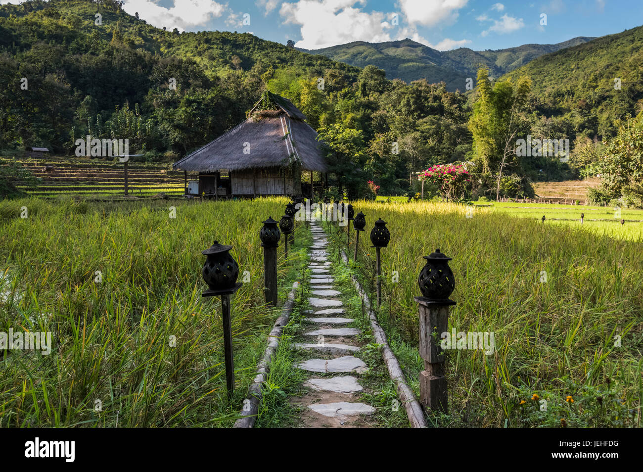 Kamu Lodge and rice fields; Ban Gnoyhai, Laos Stock Photo