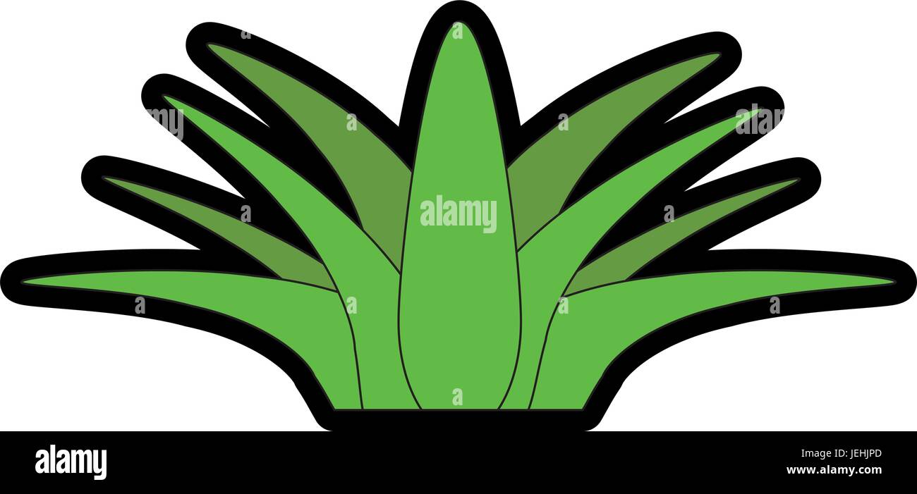 leaves icon over white background colorful design vector illustration ...