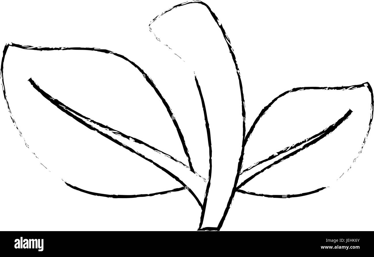 leaves icon over white background vector illustration Stock Vector ...