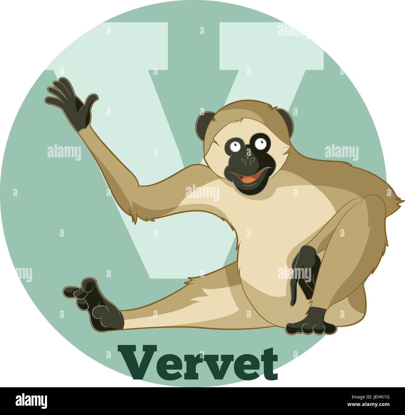 ABC Cartoon Vervet Stock Vector