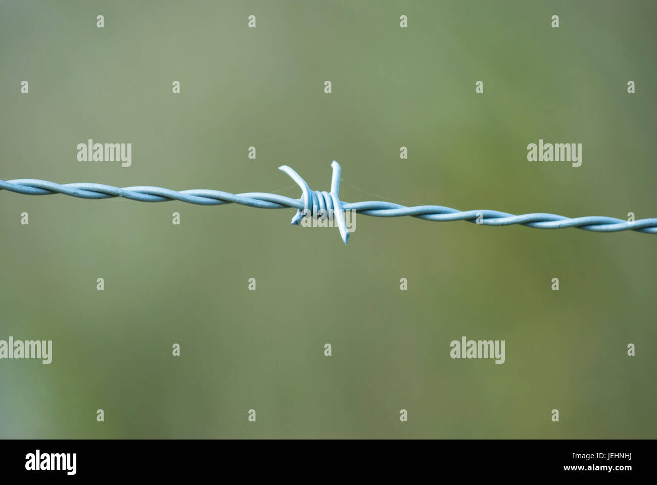Single strand best sale barbed wire