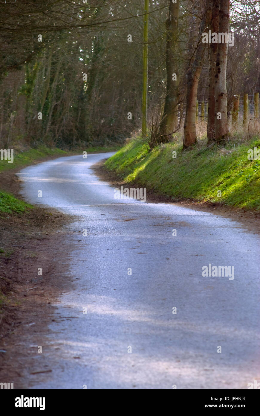 Dappled sunlight shines through the tree canopy on a country road, as it curves away into the distance. Stock Photo