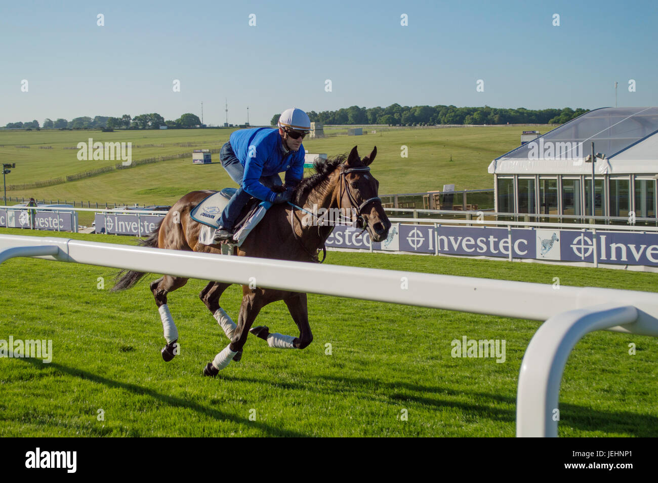 Trainer Kenny McPeek puts Investec Oaks contender racehorse ‘Daddys Lil Darling’ through her paces on the Epsom Downs racecourse track. Featuring: Daddys Lil Darling, Olivier Peslier Where: Epsom, United Kingdom When: 26 May 2017 Stock Photo