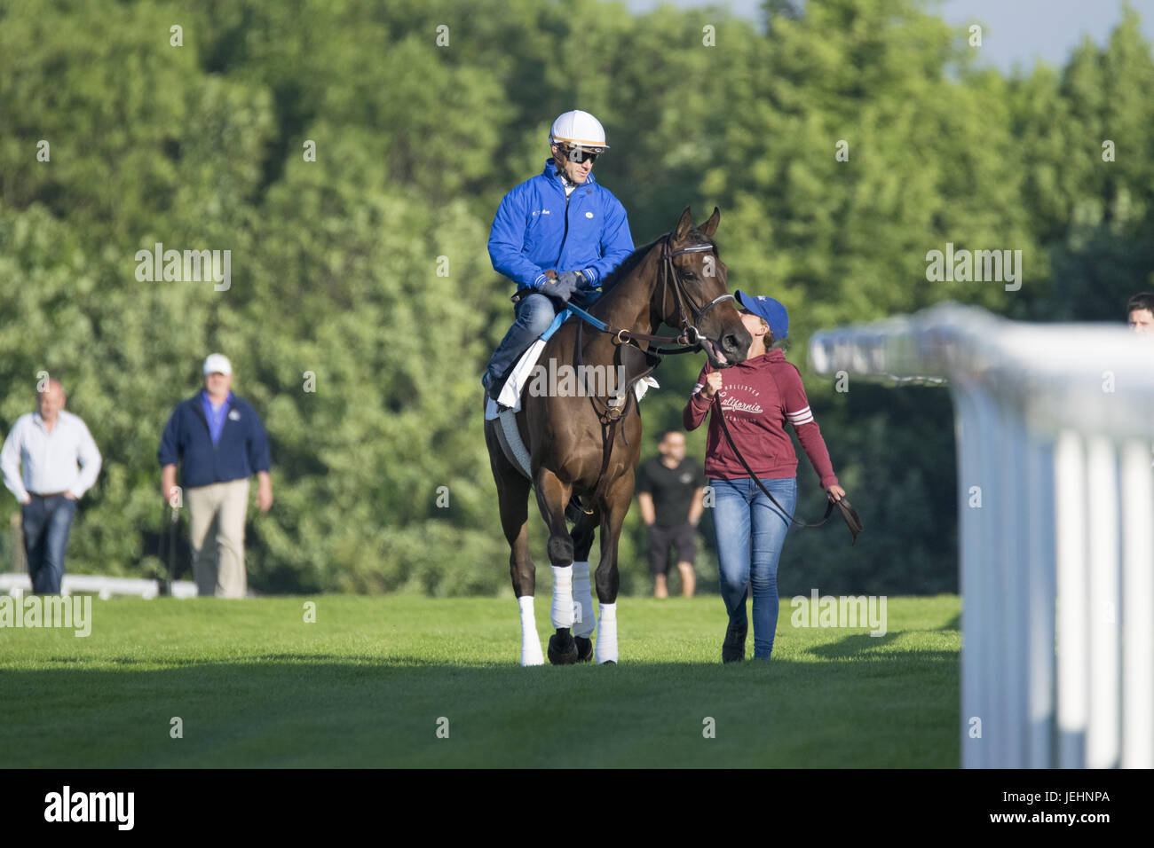 Trainer Kenny McPeek puts Investec Oaks contender racehorse ‘Daddys Lil Darling’ through her paces on the Epsom Downs racecourse track. Featuring: Daddys Lil Darling, Olivier Peslier Where: Epsom, United Kingdom When: 26 May 2017 Stock Photo