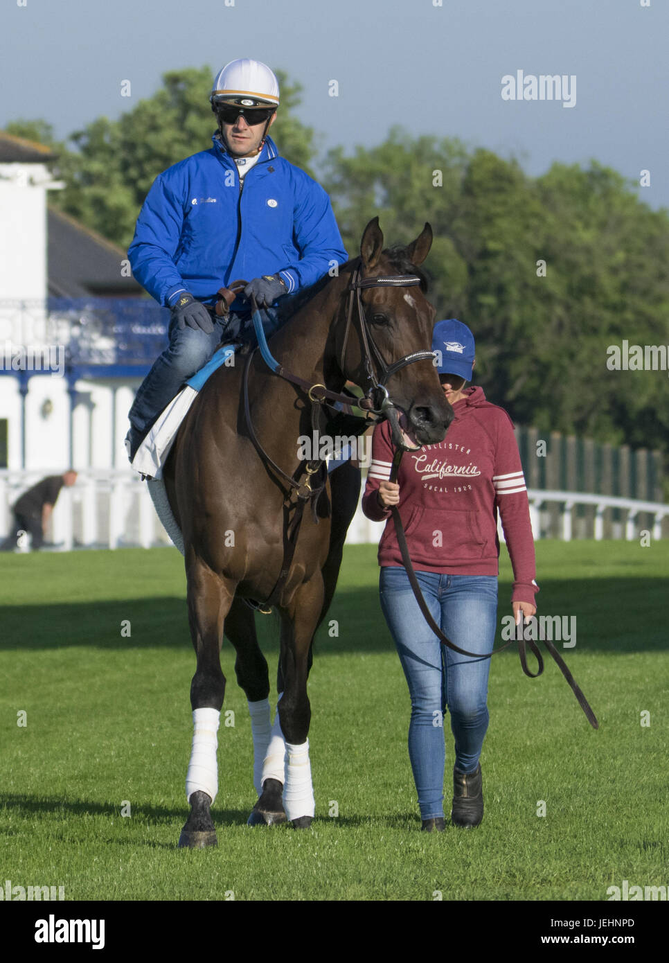 Trainer Kenny McPeek puts Investec Oaks contender racehorse ‘Daddys Lil Darling’ through her paces on the Epsom Downs racecourse track. Featuring: Daddys Lil Darling, Olivier Peslier Where: Epsom, United Kingdom When: 26 May 2017 Stock Photo