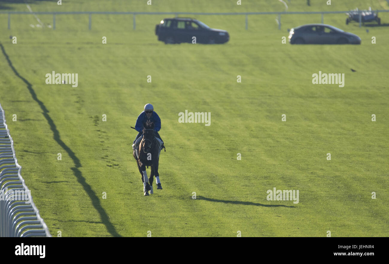 Trainer Kenny McPeek puts Investec Oaks contender racehorse ‘Daddys Lil Darling’ through her paces on the Epsom Downs racecourse track. Featuring: Atmosphere, Olivier Peslier, Daddys Lil Darling Where: Epsom, United Kingdom When: 26 May 2017 Stock Photo