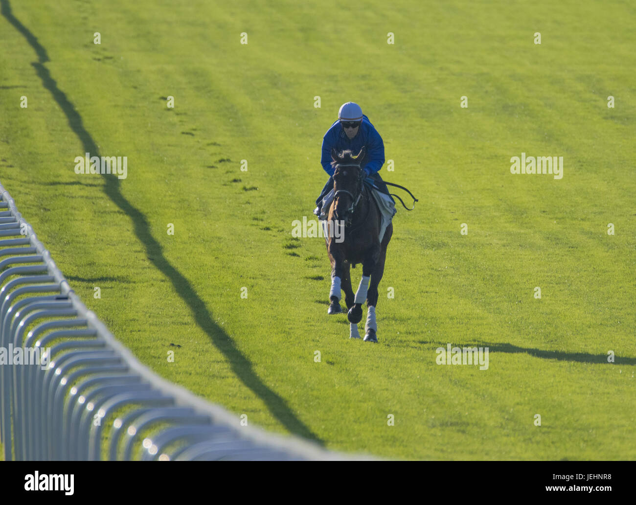 Trainer Kenny McPeek puts Investec Oaks contender racehorse ‘Daddys Lil Darling’ through her paces on the Epsom Downs racecourse track. Featuring: Daddys Lil Darling, Olivier Peslier Where: Epsom, United Kingdom When: 26 May 2017 Stock Photo
