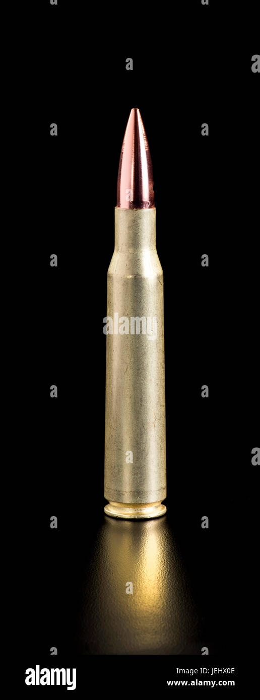 Brass 50 cal. bullet with room for your type. Stock Photo