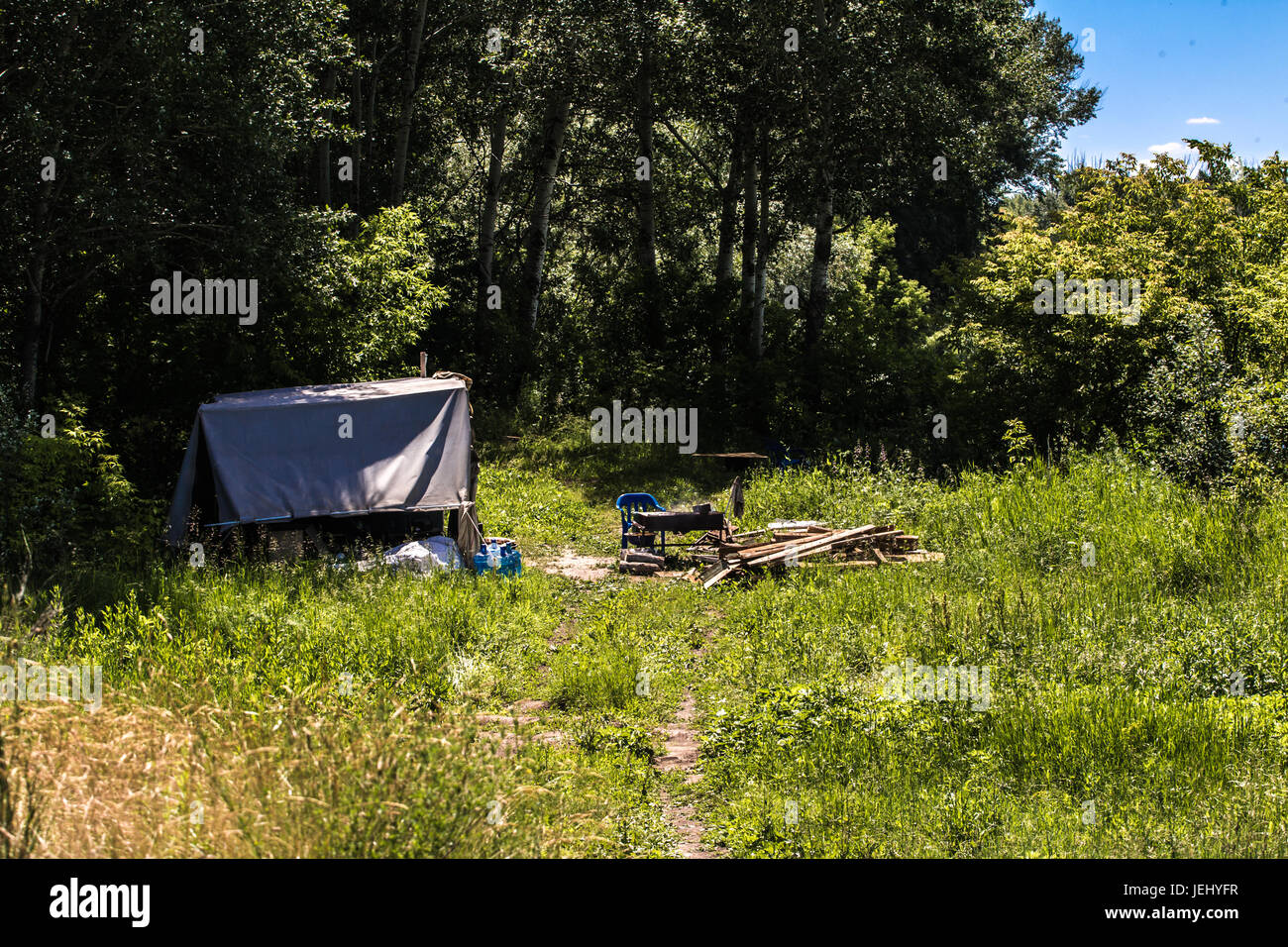 Working camp among the trees in the summer forest Stock Photo