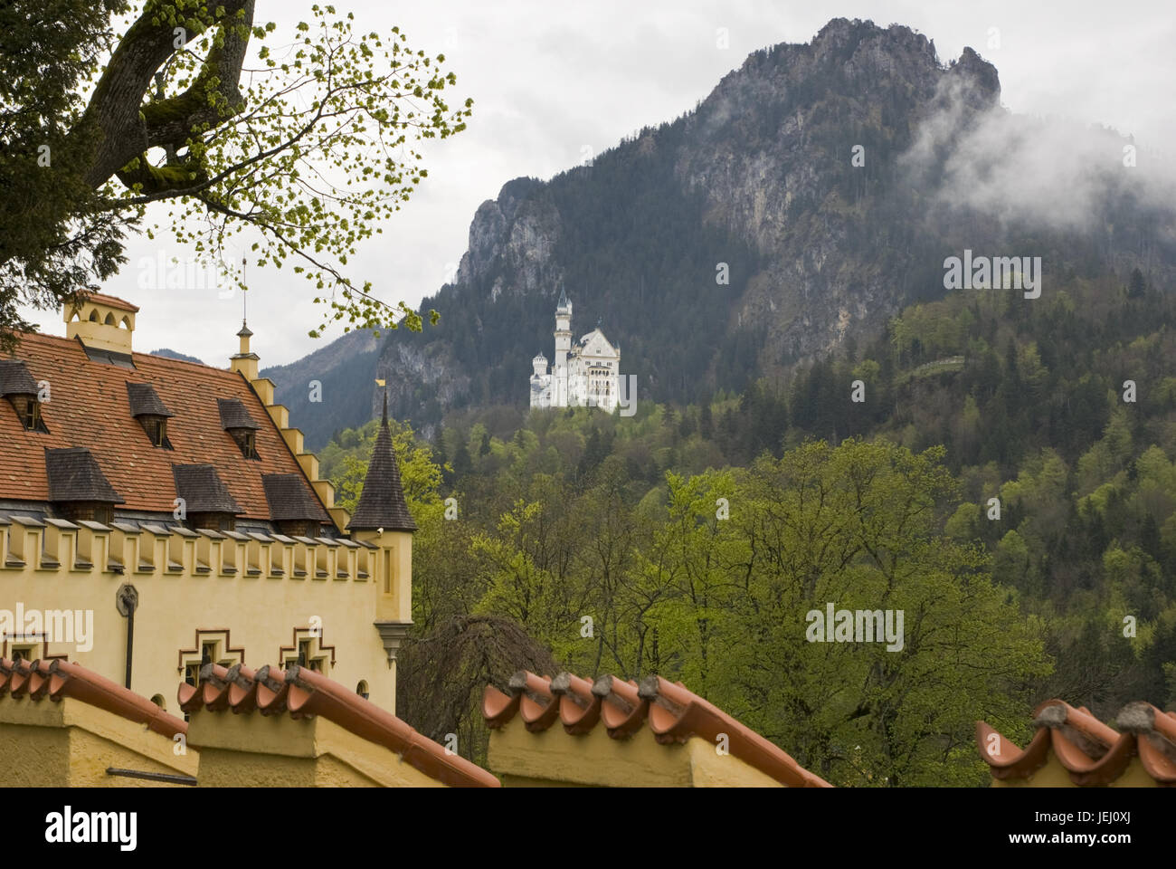 Castle Neuschwanstein, bavaria, germany Stock Photo