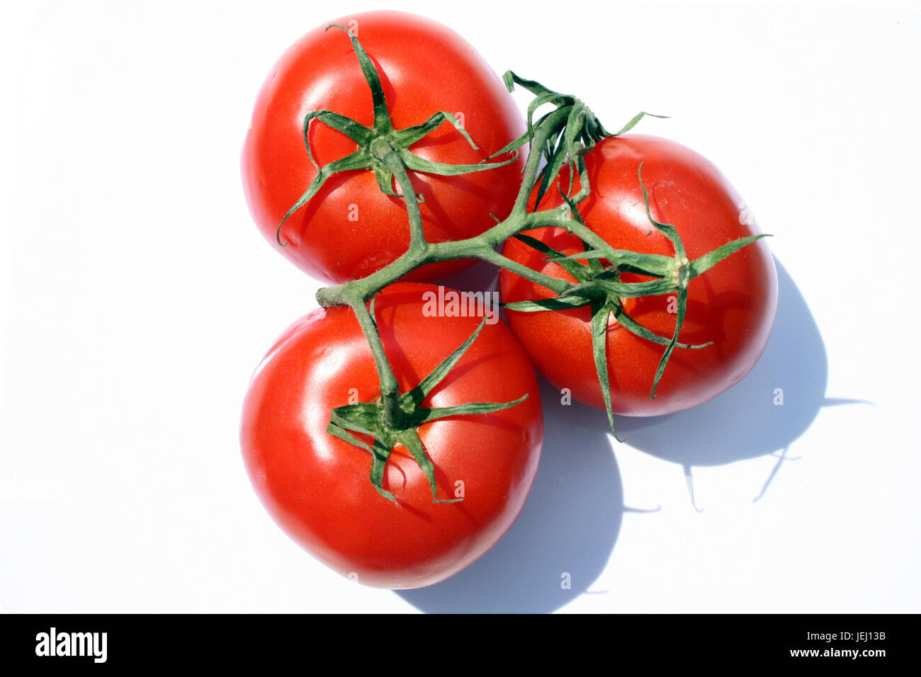 Tomatentrio Stock Photo