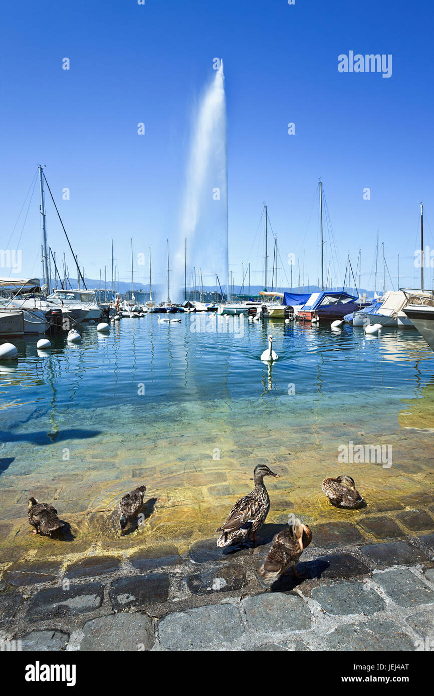 Anchored boats on lake geneva hi-res stock photography and images - Alamy