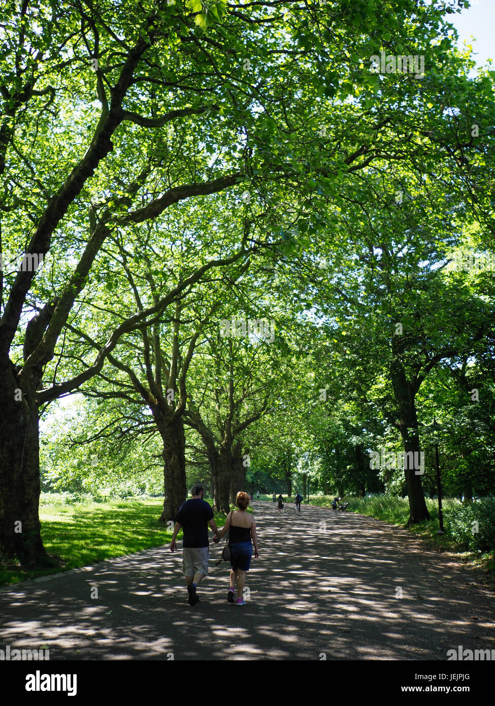 Sefton Park Liverpool Stock Photo Alamy   Sefton Park Liverpool JEJPJG 