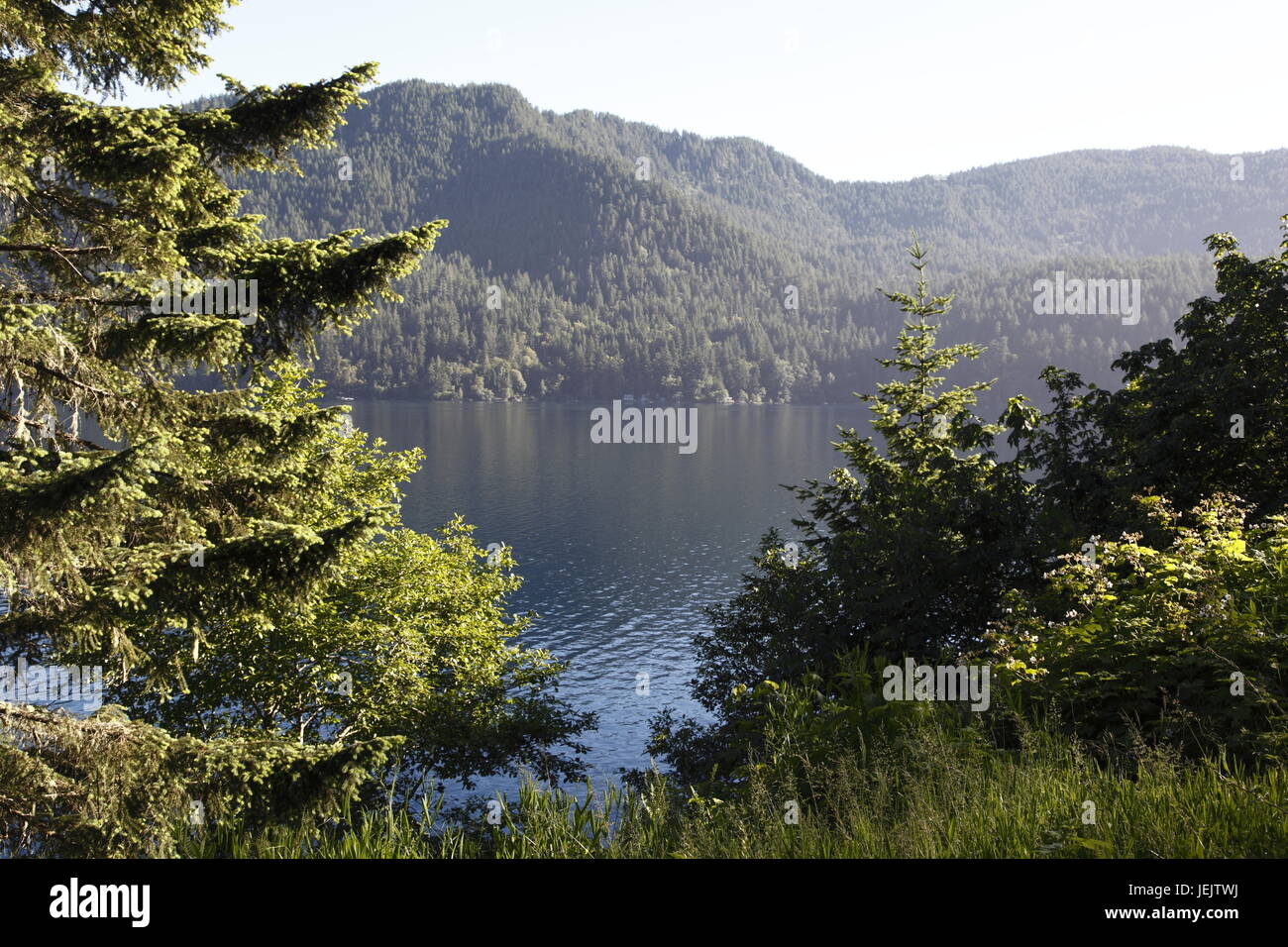 Lake Crescent, Olympic National park Stock Photo