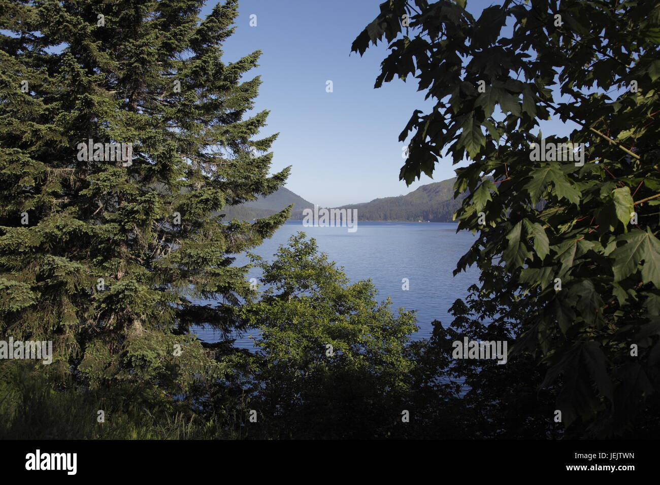 Lake Crescent, Olympic National park Stock Photo