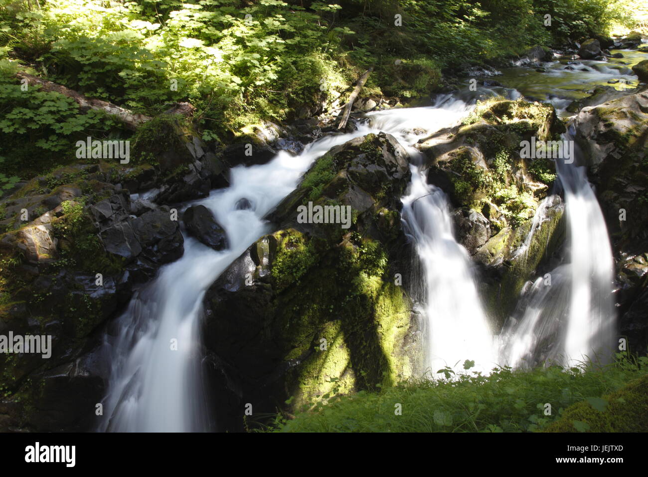 Sol Duc Falls,Olympic National Park Stock Photo