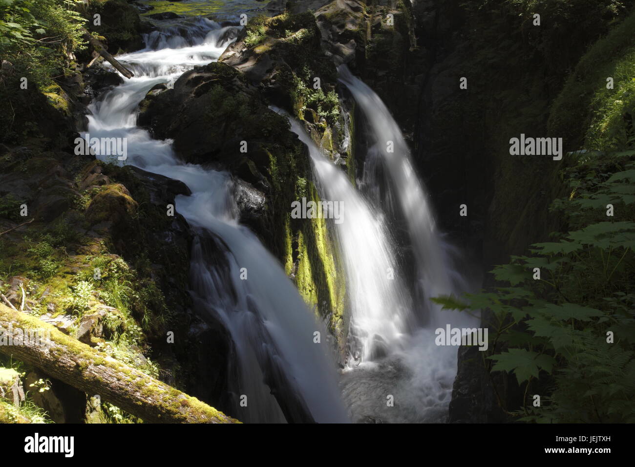 Sol Duc Falls,Olympic National Park Stock Photo