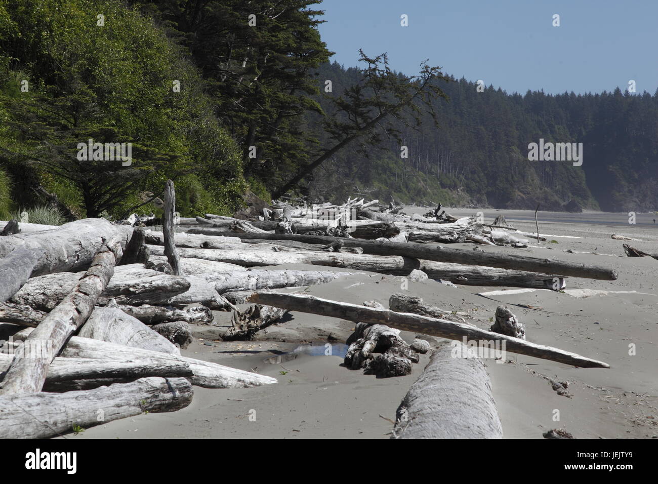 Second beach, Olympic national park Stock Photo