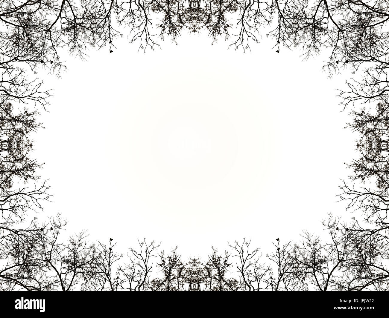 Nature Border Black And White