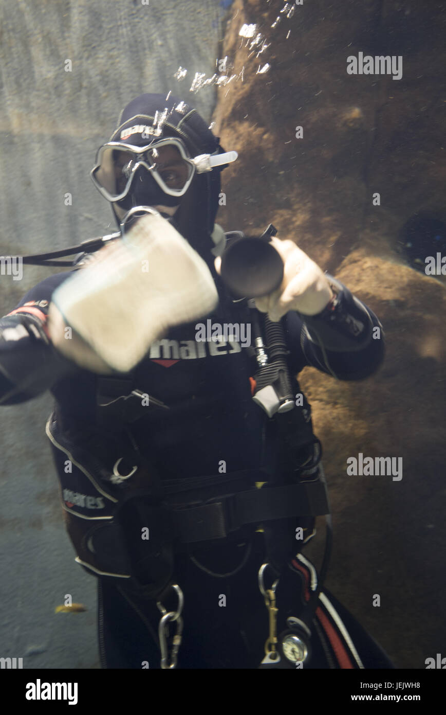 diver cleaning an Aquarium Stock Photo Alamy