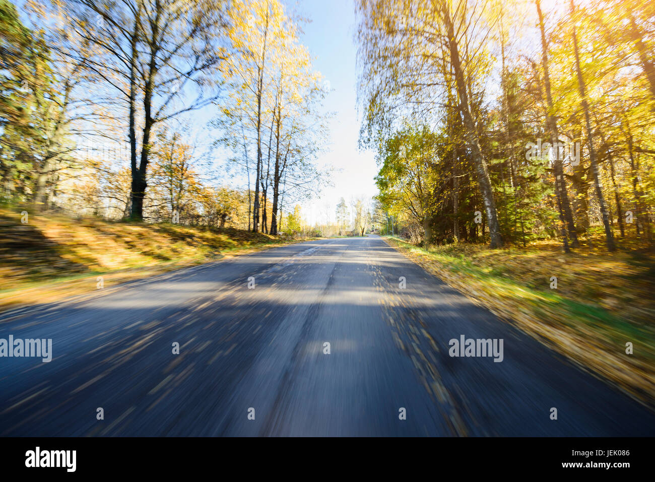 Road going through forest Stock Photo - Alamy