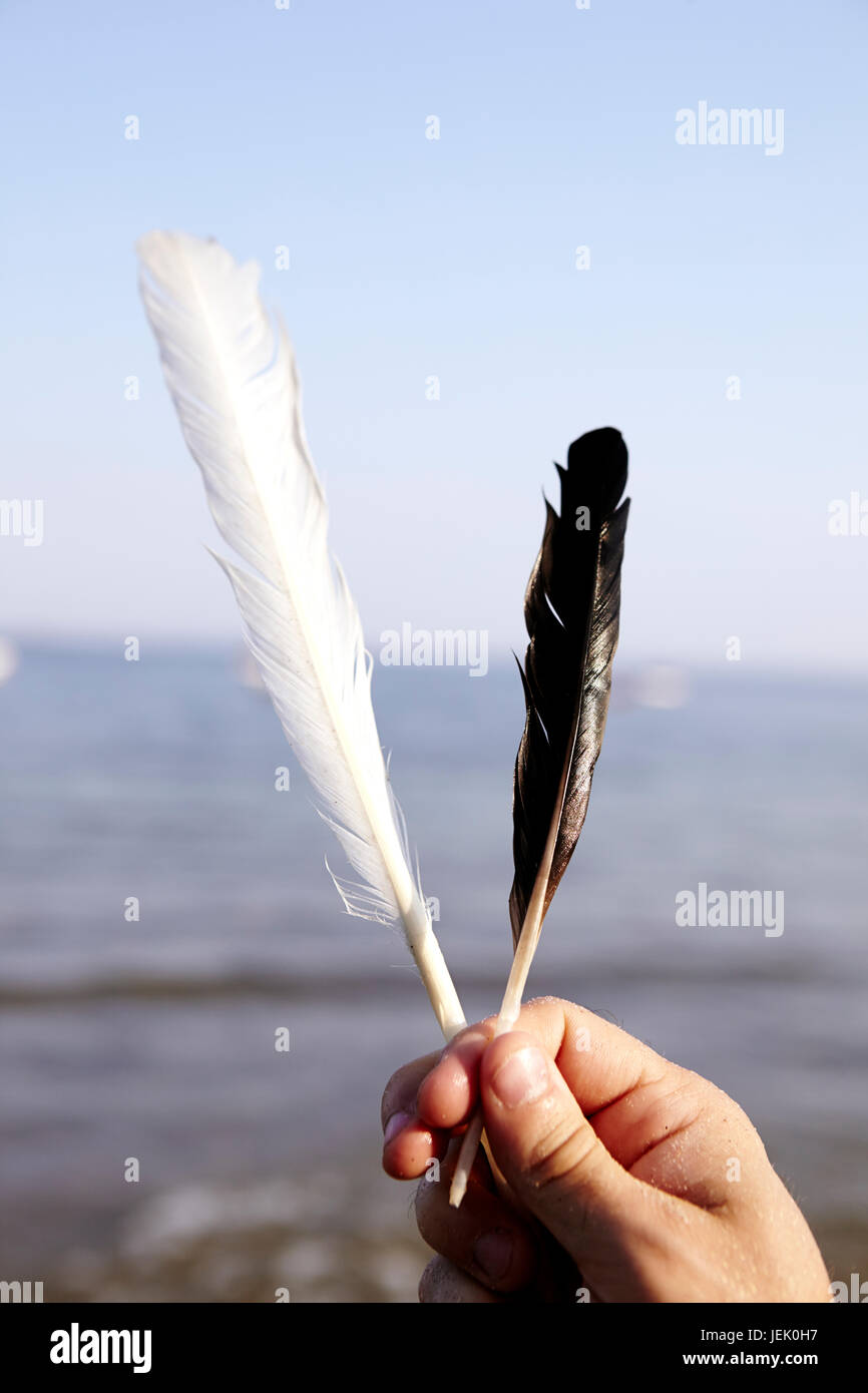 Hand holding feathers Stock Photo Alamy