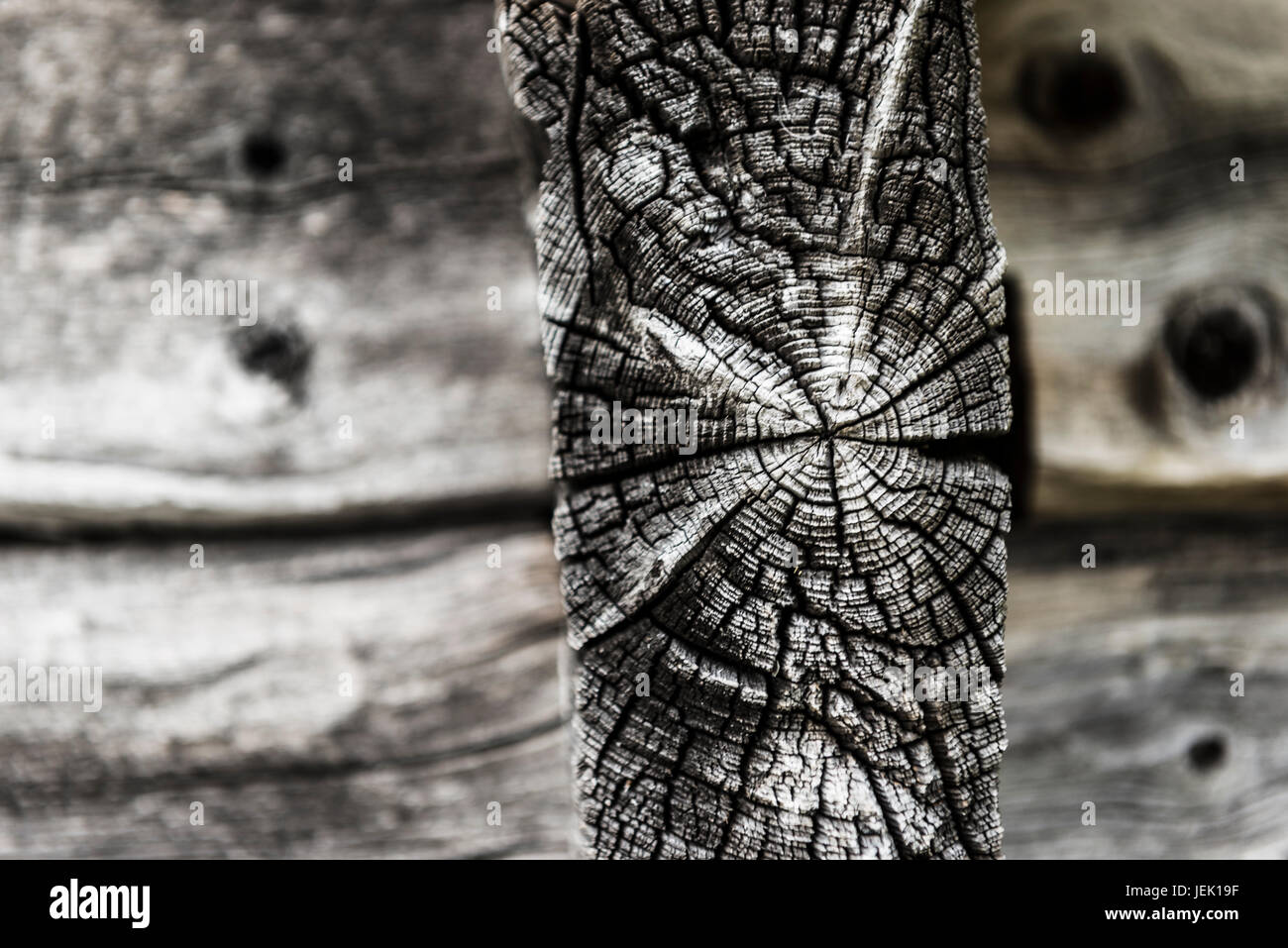 Close-up of old cracked plank Stock Photo
