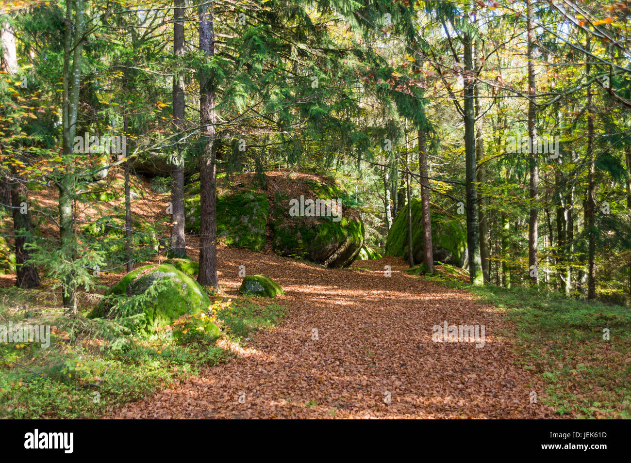 nature park pathway, Rechberg, Upper Austria Stock Photo