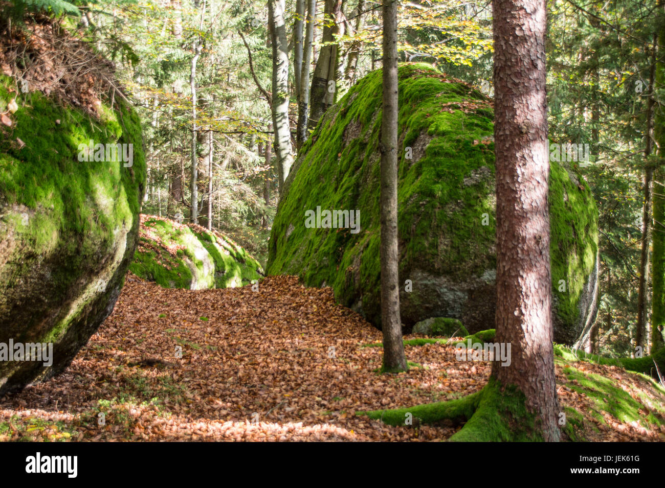 nature park pathway, Rechberg, Upper Austria Stock Photo