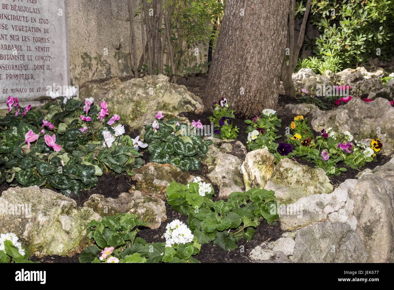 Flower Bed In Garden Monte Carlo Monaco Stock Photo - Alamy