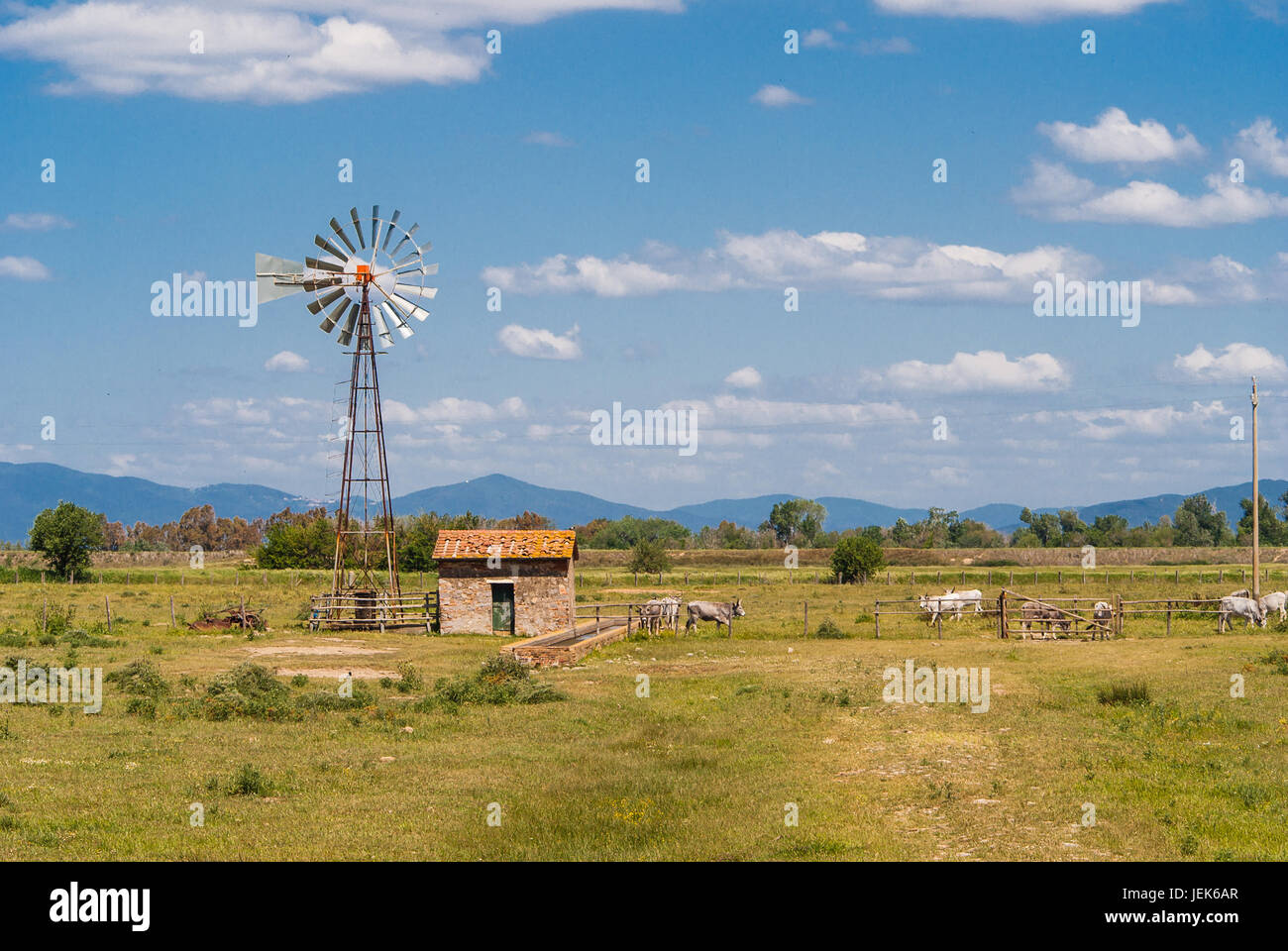 Parco Naturale della Maremma, Tuscany Stock Photo