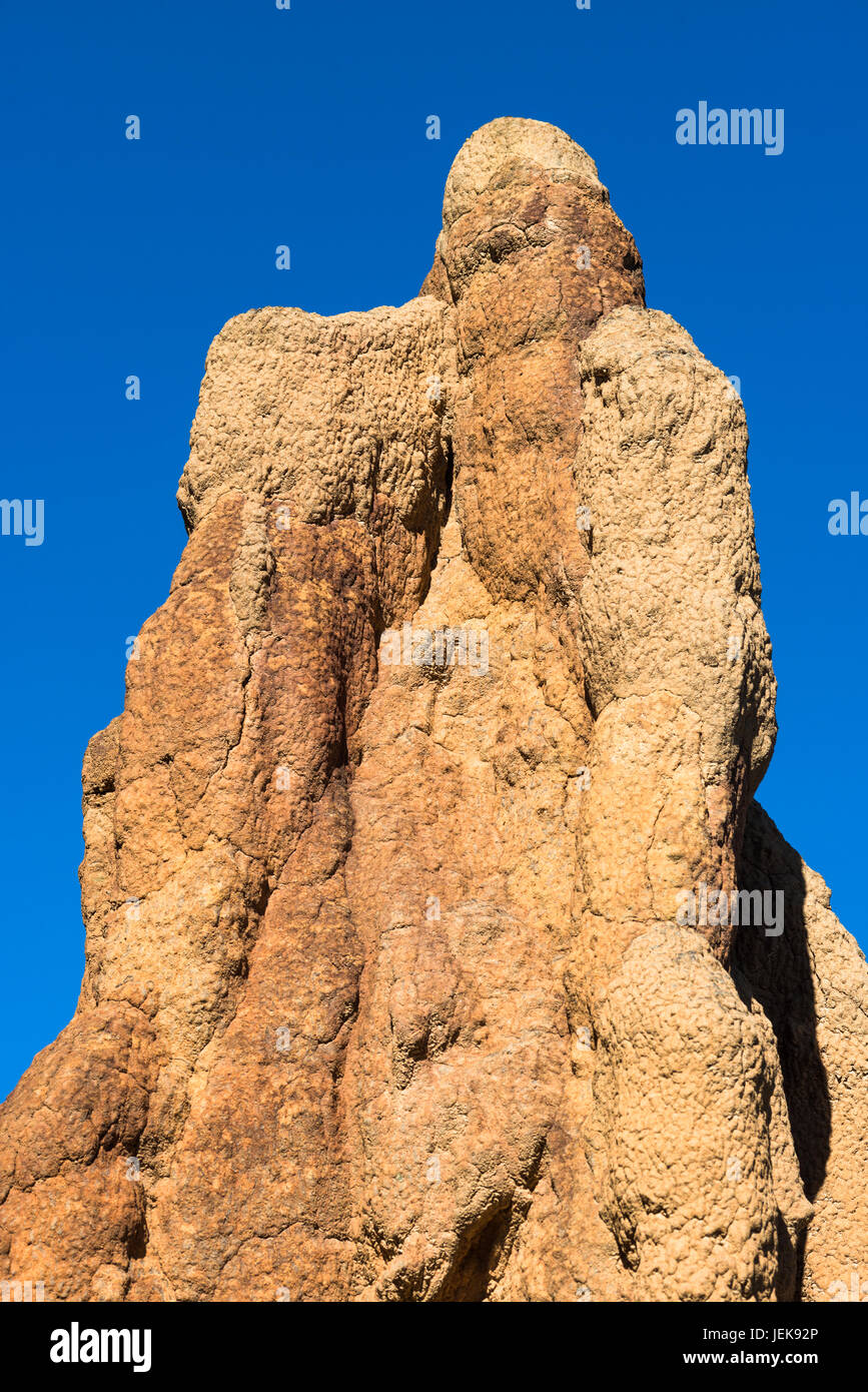 Cathedral Termite Mound, Litchfield National Park, Northern Territory, Australia. Stock Photo