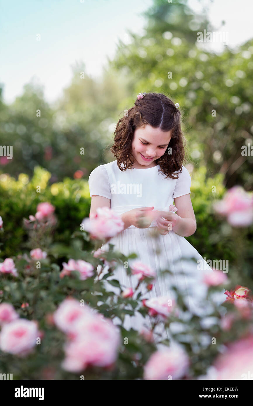 Girl picking flowers in a rose garden Stock Photo Alamy
