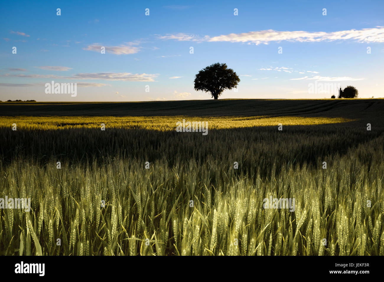 Sunlight france field hi-res stock photography and images - Alamy