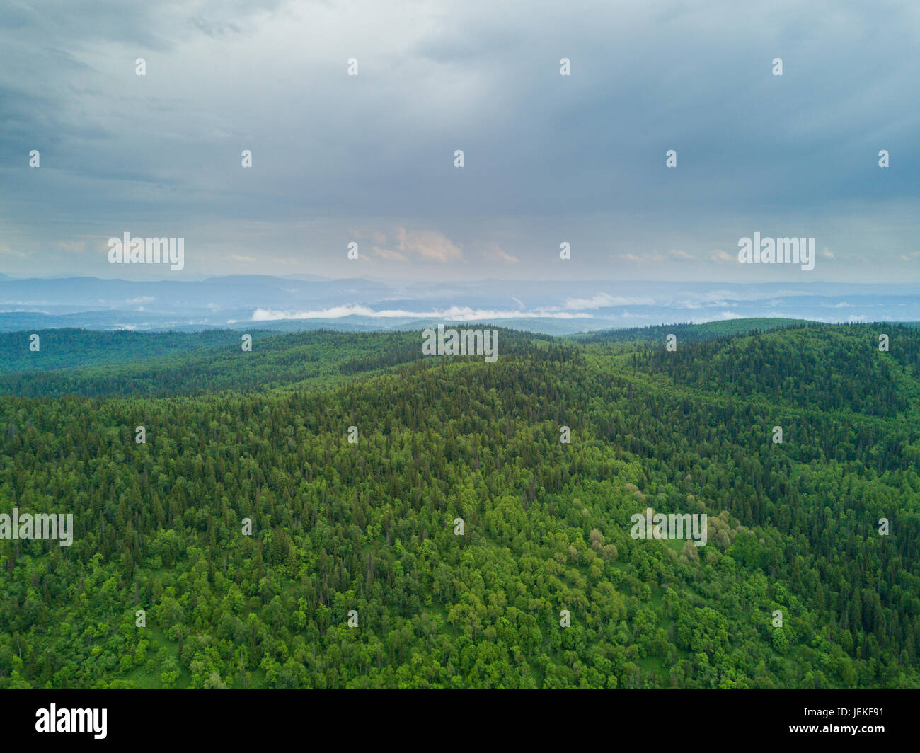 Aerial view of the Russian landscape in summer Stock Photo - Alamy
