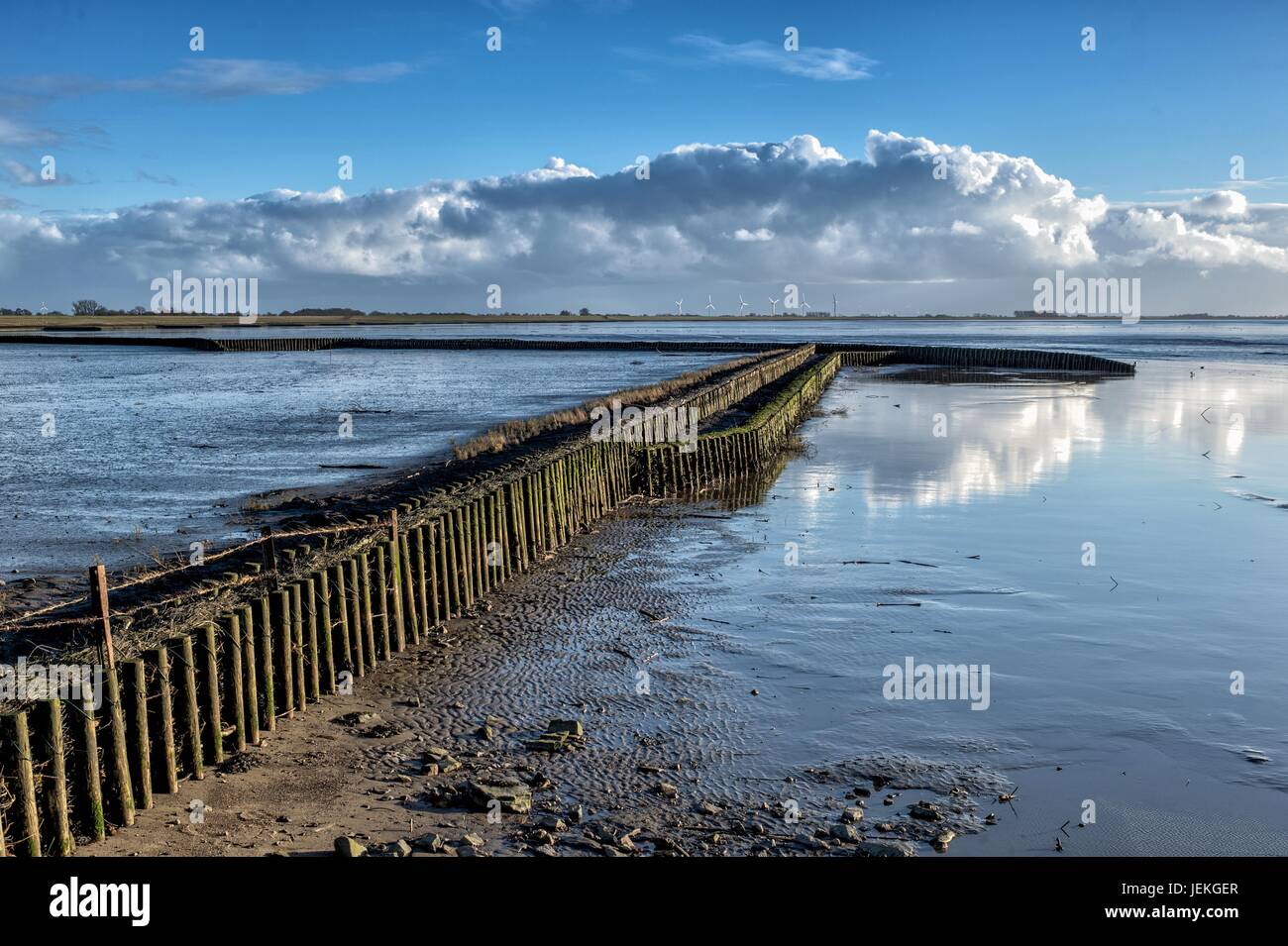 Wooden groyne on the banks of the Dollart river, Lower Saxony, Germany Stock Photo